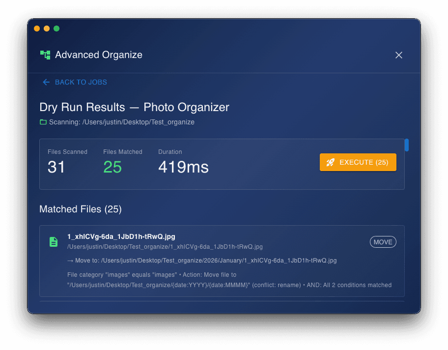 Dry-run mode: Preview exactly what VaultSort will move before committing any changes.